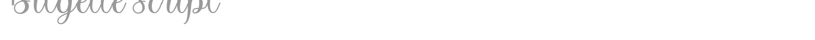 Bitgette Script font preview